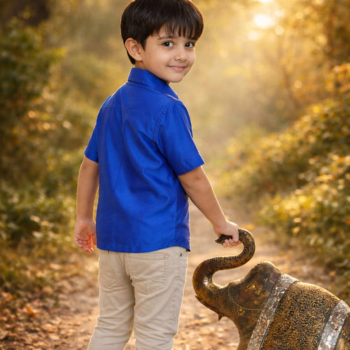Boys Blue Colour Polyester Shirt(ibm-blue)